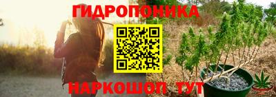 СК Кунгур
