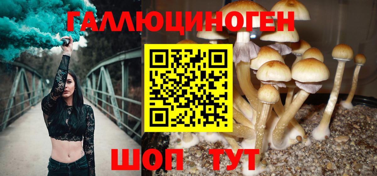 Галлюциногенные грибы Magic Shrooms Черняховск